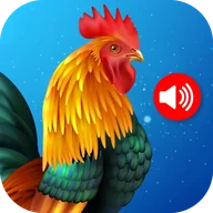 Animal Ringtones